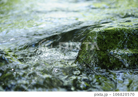 小川の水の流れ 106820570
