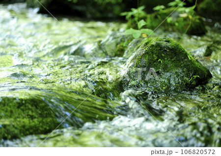 小川の水の流れ 106820572