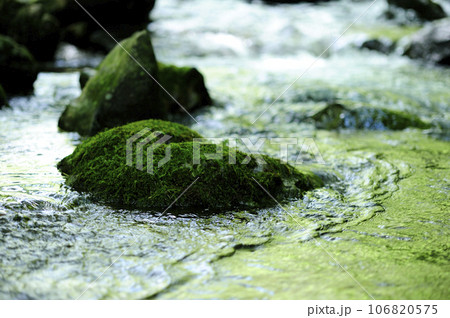 小川の水の流れ 小川の水の流れ 106820575