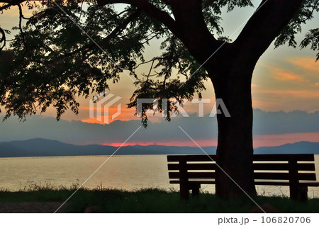 あのベンチ あのベンチ 106820706