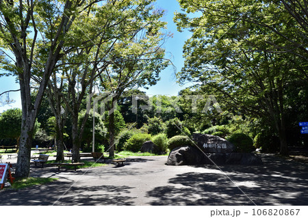 三島・柿田川公園の入り口（日本三大清流） 106820867