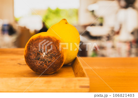 Rotten lemon on a tray in kitchen at home. Rotten lemon on a tray in kitchen at home. 106821403
