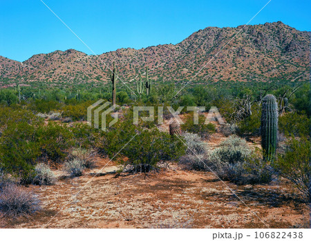 San Tan Mountains Sonora Desert Arizona On Film San Tan Mountains Sonora Desert Arizona On Film 106822438