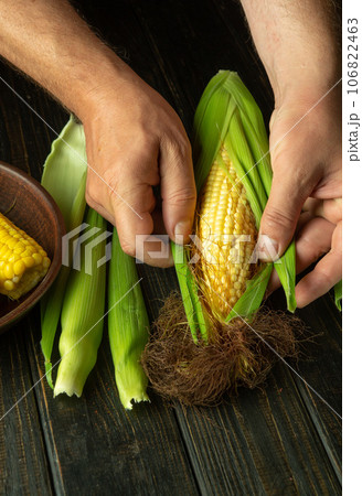 The chef peels ripe corn from the shell before cooking. Work environment on the kitchen table. Close-up of cook hands while working 106822463
