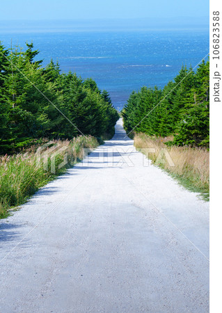 北海道稚内市　宗谷丘陵の白い道　8月 106823588