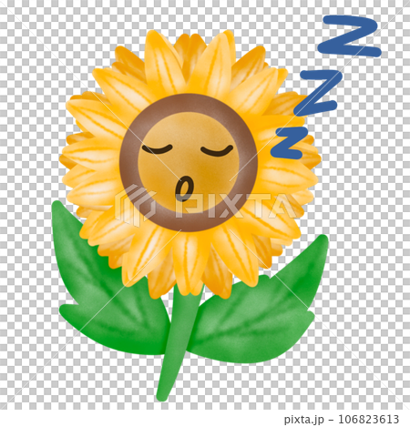 sunflower with leaves sunflower with leaves 106823613