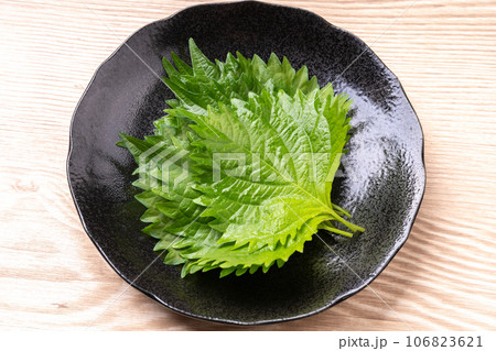 大葉 106823621