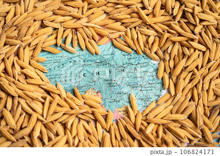 Bangkok, Thailand May 14, 2023 Brown rice paddy seeds on China map, rice export ban trigger a global food crisis concept. Bangkok, Thailand May 14, 2023 Brown rice paddy seeds on China map, rice export ban trigger a global food crisis concept. 106824171