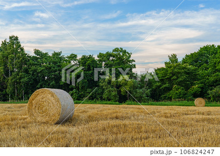 麦草ロールのある夕景風景　北海道富良野観光 106824247