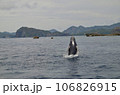 ザトウクジラ 106826915