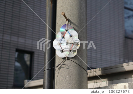 街角に設置された鳥よけのCD 106827678