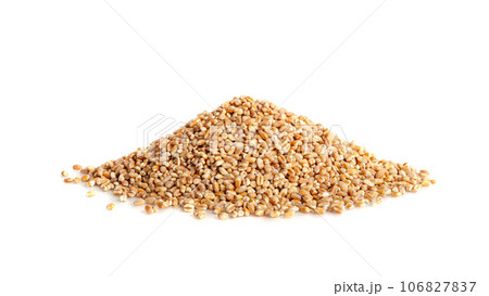 Wheat Grains, Barley Pile, Dry Cereal Seeds, Wheat Grains Heap on White Wheat Grains, Barley Pile, Dry Cereal Seeds, Wheat Grains Heap on White 106827837