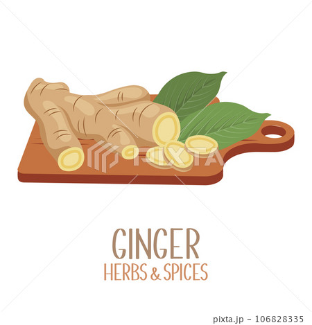 Roots and slices of ginger on a cutting board. Herbs and spices. Illustration, vector Roots and slices of ginger on a cutting board. Herbs and spices. Illustration, vector 106828335