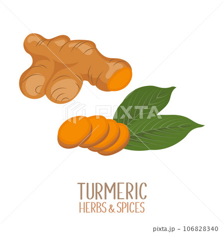 Turmeric root and turmeric slices. Herbs and spices. Curcumin. Illustration, vector Turmeric root and turmeric slices. Herbs and spices. Curcumin. Illustration, vector 106828340