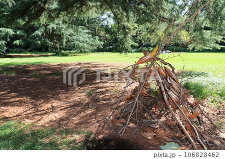 森の秘密基地 冒険 夏の想い出 森の秘密基地 冒険 夏の想い出 106828462