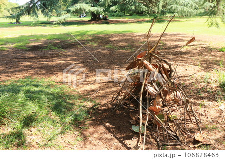 森の秘密基地 冒険 夏の想い出 森の秘密基地 冒険 夏の想い出 106828463