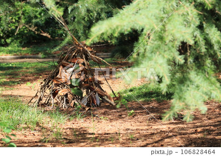 森の秘密基地 冒険 夏の想い出 森の秘密基地 冒険 夏の想い出 106828464