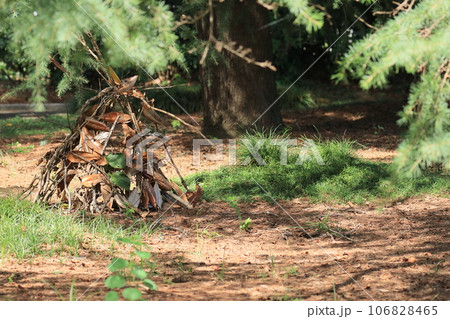 森の秘密基地 冒険 夏の想い出 森の秘密基地 冒険 夏の想い出 106828465