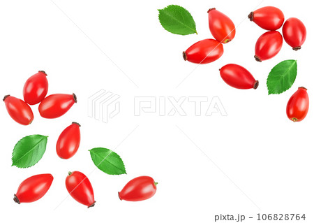 Rose hip isolated on a white background with full depth of field. Top view with copy space for your text. Flat lay. 106828764