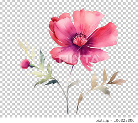 Pink watercolor flowers isolated 106828806