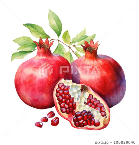 Ripe pomegranate isolated 106829046