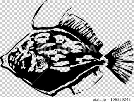 Fish print illustration of filefish Fish print illustration of filefish 106829248