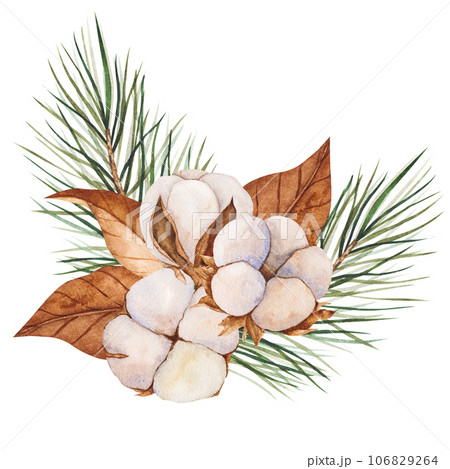 Watercolor illustration of cotton buds, dry leaves with pine branches. Isolated cliparts. Realistic botanical composition. Wedding invitation, Holiday, New Year clipart, decorations, Greeting card Watercolor illustration of cotton buds, dry leaves with pine branches. Isolated cliparts. Realistic botanical composition. Wedding invitation, Holiday, New Year clipart, decorations, Greeting card 106829264