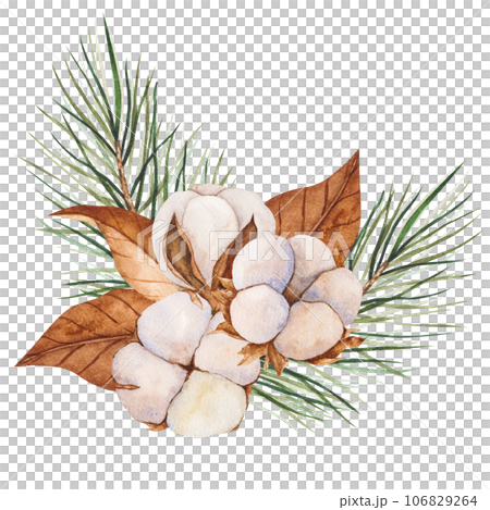 Watercolor illustration of cotton buds, dry leaves with pine branches. Isolated cliparts. Realistic botanical composition. Wedding invitation, Holiday, New Year clipart, decorations, Greeting card Watercolor illustration of cotton buds, dry leaves with pine branches. Isolated cliparts. Realistic botanical composition. Wedding invitation, Holiday, New Year clipart, decorations, Greeting card 106829264