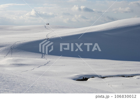 鳥取砂丘の雪景色 鳥取砂丘の雪景色 106830012