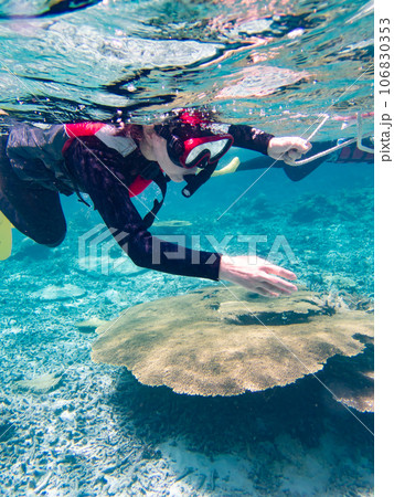 八重干瀬のサンゴ礁をスノーケリングする女性 106830353