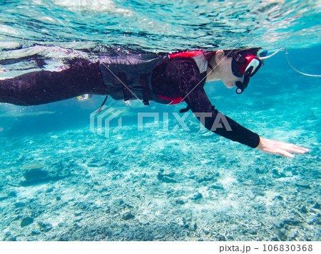 八重干瀬のサンゴ礁をシュノーケルで愛でる 106830368