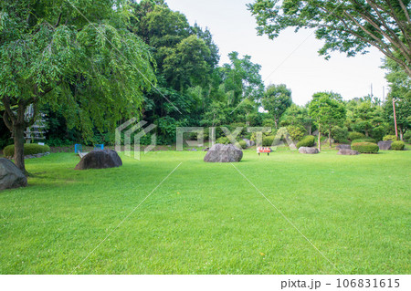 沼尾川親水公園　多目的広場　真夏の風景　渋川市 106831615