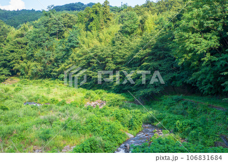 沼尾川親水公園 沼尾川 真夏の風景 渋川市 沼尾川親水公園 沼尾川 真夏の風景 渋川市 106831684