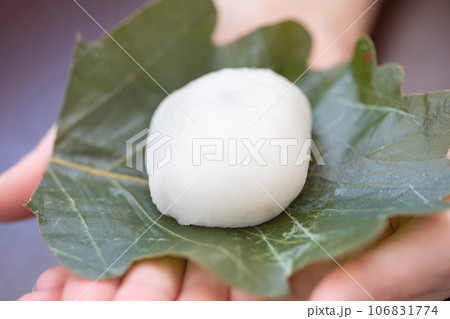 手に持った柏餅 写真素材 手に持った柏餅 写真素材 106831774