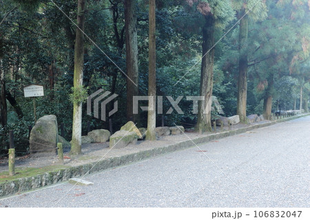 京都　伏見城石垣に使用されたと思われる石材 106832047