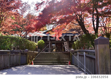 栃木県　宇都宮城址公園の清明館と紅葉 106832058