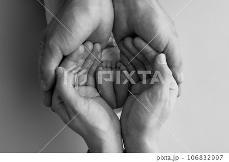 The palms of the father, the mother are holding the foot of the newborn baby. Feet of the newborn on the palms of the parents. Photography of a child's toes, heels and feet. Black and white macro. The palms of the father, the mother are holding the foot of the newborn baby. Feet of the newborn on the palms of the parents. Photography of a child's toes, heels and feet. Black and white macro. 106832997
