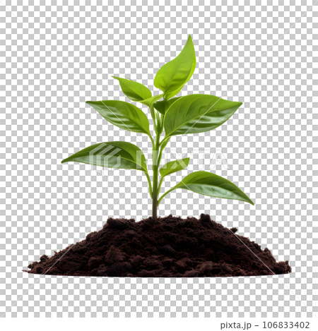 sprout in a pile of soil isolated on transparent background. Generative AI 106833402