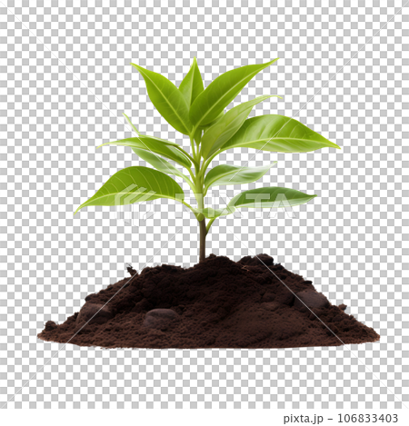 sprout in a pile of soil isolated on transparent background. Generative AI 106833403