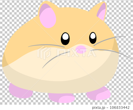 Roborovsky hamster Roborovsky hamster 106833442