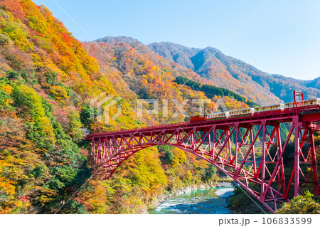 秋の黒部峡谷：新山彦橋を走るトロッコ電車 106833599
