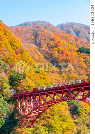 秋の黒部峡谷：新山彦橋を走るトロッコ電車 106833604