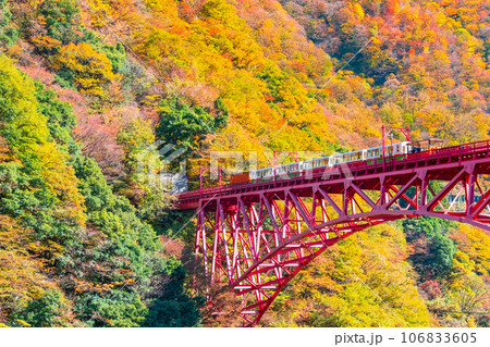 秋の黒部峡谷：新山彦橋を走るトロッコ電車 106833605