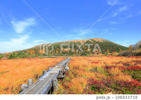 秋の浄土平湿原/福島県福島市 秋の浄土平湿原/福島県福島市 106833728