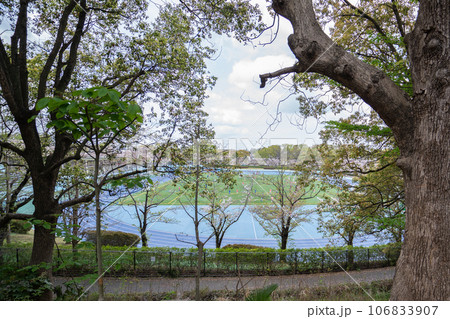 道路から見た松戸運動公園競技場 道路から見た松戸運動公園競技場 106833907