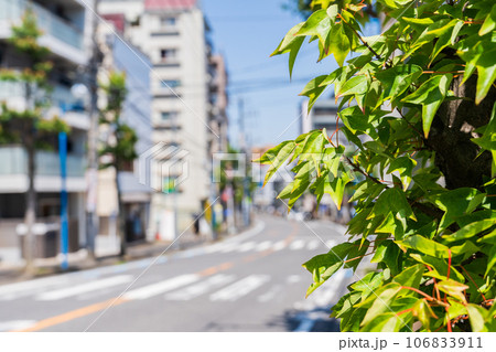 北松戸駅までの道路 北松戸駅までの道路 106833911