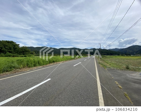 夏の田舎風景 新潟 夏の田舎風景 新潟 106834210