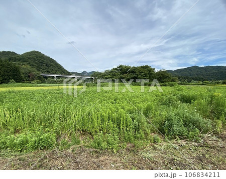 夏の田舎風景 新潟 夏の田舎風景 新潟 106834211