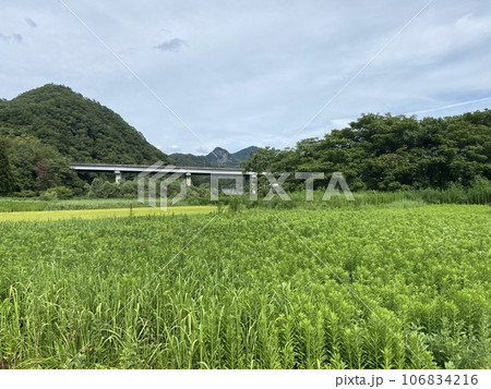 夏の田舎風景 新潟 夏の田舎風景 新潟 106834216