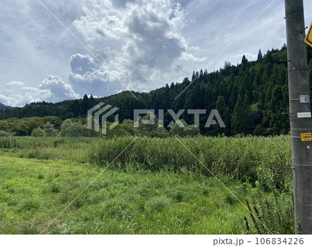 夏の田舎風景 新潟 夏の田舎風景 新潟 106834226